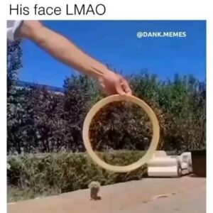 Chad Lindberg Instagram - This makes me laugh so much. 🤣
