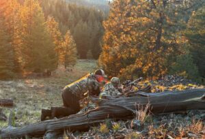 Chad Mendes Instagram - Wanna get outdoors and learn some great tools to hunt? Or maybe you’re stuck wanting to but weren’t really sure how to get started?? Well we can help you out!! Learn some of the techniques that we use in the field hunting big game! Our hunt academy in Oregon is just the ticket for the beginning hunter to the hunter that wants to improve his/ her skills and learn some new tools! We have a couple spots left and would love to have you guys join us! This hunt is $5,800. per person and includes;

One and a half days of long range shooting taught by Gunwerks instructors, one of the most reputable rifles in the business! They will teach you to shoot confidently with hunt specific training! You get a 2 day cow elk hunt to apply all the new skills you learned! We teach you how to field dress and breakdown an animal! With all meals and lodging included!! 

Dates: November 21-25 (arrive on the 21st and leaving on the 25th) 

If interested hit us up at info@finzandfeatherz.com
So we can help you succeed and get your freezer packed full of fresh clean meat!! #oregon #elk #getoutthere #hunt #greatmemories #longrange #skills #lovetohunt #finzandfeatherzguides