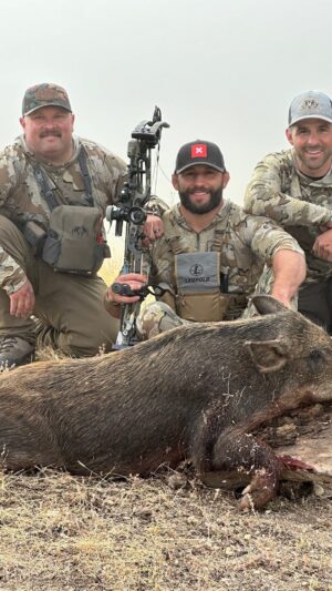 Chad Mendes Instagram - Makin BACON!!!! Me and the fellas hit the central coast here in Cali! We stopped in to see the @hoguehunting factory and get our knives sharpened, then hit the hills in search of big ole wild boar! 🏹

We had NON-STOP action with multiple pigs in the cooler headed home with us! I absolutely LOVE fresh wild pork sausage and I’m excited to get it all made up! I can’t thank my boy @lucas.paugh.805 enough for being one of the coolest MoFo’s around! 

Head over to my YT Channel guys to see how this entire trip went down!! The links in my bio! 🙏🏼

#wildboar #makinbacon #wildpig #centralcalifornia #coast #pasorobles #winecountry #hoguehunting #knives #pelican #hoytbowhunting #ultraviewarchery #kuiunation #sausage #bacon #onxhunt