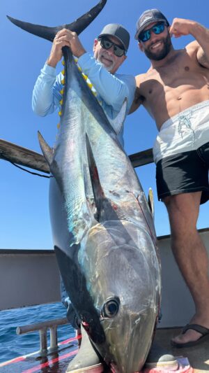 Chad Mendes Instagram - !!! BIG AL on a BIG TUNA!!! 
🐟🏆🐟
YeeeeeHawwww!!! 
@mendes.alvin 
@finzandfeatherzguides 
@shogunsportfishing 
@chadmendes 
#bigtuna