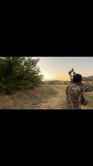 Chad Mendes Instagram - This was a super close call the first evening of our last pig hunt. This GIANT boar was out feeding and me and my boy @lucas.paugh.805 closed the distance to 65. Of course the wind started to switch and the boar started putting his nose in the air and looking around.  With him already on alert, he jumped my string and bolted like hell before my arrow got to him. Such a fun stalk in on what would have been my biggest boar to date! Next time…. 🏹🐗

#hoytarchery #centralcalifornia #wildboar #sendit #kuiunation #makinbacon