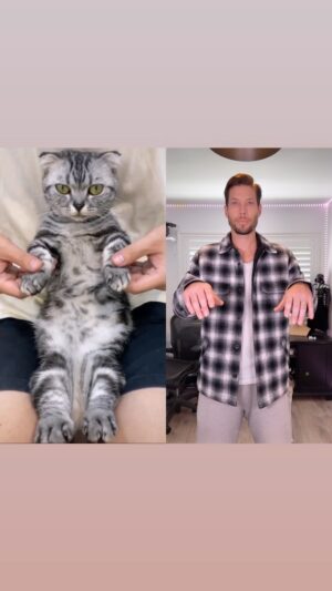 Chadd Smith Instagram - Robot Cat AI test 🦾🐱