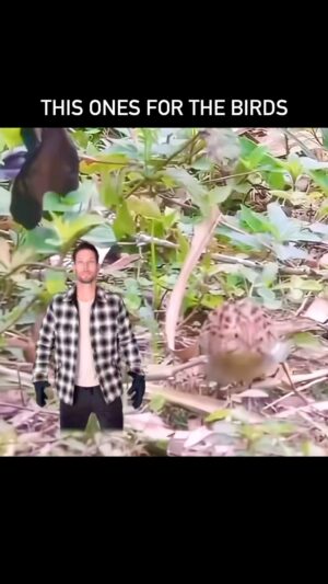 Chadd Smith Instagram - By popular demand 🦾😅🤌🏼🦜