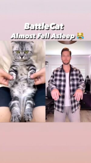 Chadd Smith Instagram - Daily reminder to not Battle this Cat! 🦾😸 #tbt #robot #cat #electro