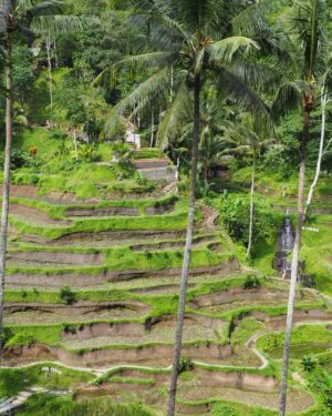 Chahub Marut Ghoummeddin Instagram - 🌞⛰️🏝️ #tanalottemple #bali #indonesia