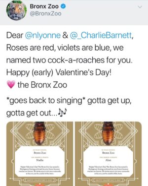 Charlie Barnett Instagram - Aren’t we all just roaches...? Alan thanks you for your roach recognition @bronxzoo #russiandollnetflix