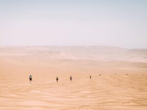 Charlie Gillespie Instagram - Crossing the Ica Desert, Peru 😌  @halfmds
