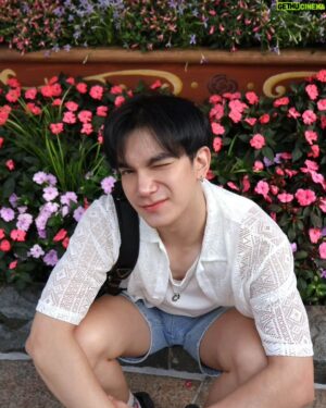Charoenchai Khantichaikhajohn Instagram - PHOTO WITH FLOWER IN SHANGHAI DISNEYLAND🌼🌸
