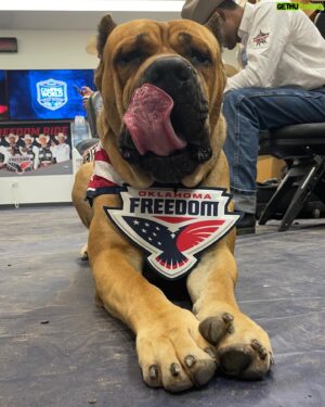 Chase Outlaw Instagram - Bring your dog to Freedom Fest. Meet Hank 👋