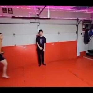 Cheick Kongo Instagram - Do you still want to be a fighter?
#mma #boxing #bjj #combatsports