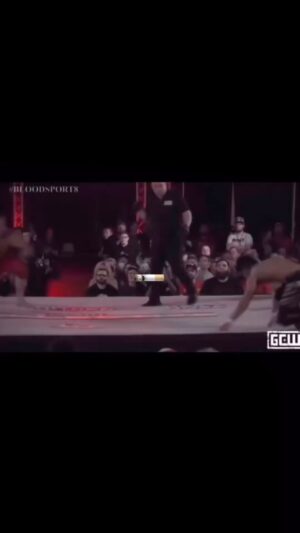 Cheick Kongo Instagram - A mix between Tekken and StreetFighter.
Ladies and Gentlemen, this is BLOODSPORT