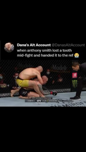 Cheick Kongo Instagram - Still wanna be a fighter??
#combatsport