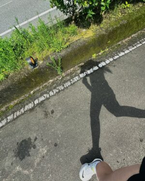 Cheney Song Instagram - 「吶，你喜歡跑步嗎？」 
「なあ 走るの好きか 」
開頭的這句話是如此那麼深刻。

每回抵達新的環境
總喜歡穿上跑鞋踩踏著步伐去探索周遭
著實把屬於自己的好奇與攫取淋淋盡致的揮灑

「人畢竟無法和别人共享速度與節奏，這一切只屬於自己。」—強風吹佛

面臨舊傷復發的情況
已不再尤人亦或者認為自己無用
於現在的我來說
慢一點也沒關係了
只要還能跑就好（笑）

「你聽好，過去和風評都是死的，但你是活的；不要被它們影響，不要回頭。你要變得比現在更强。」—強風吹佛

繼續單純而為吧（燦笑）

只要繼續願意
所在的地方都會成為自己的跑道

儘管跑步是很寂寞的運動
但不會止步的：）