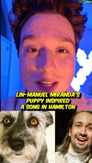 Chester Rushing Instagram - Did you know this about Hamilton? 🎶
#hamilton #musicaltheatre #puppy
