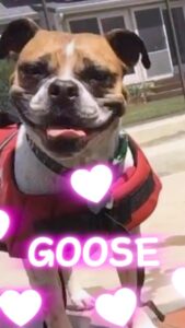 Actor Chester See HD Instagram Photos and Wallpapers May 2024