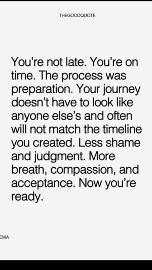 Chetan Bhagat Instagram - Do not compare your journey with anyone! 🌞

Posted @withregram • @thegoodquote