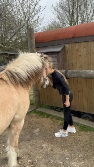 Chiara Nella Kekrt Instagram - Pure Love🤍🐎🤍
Mufánek🤍

Děkuju @pod.dubem ❤️🫶🏻

#love #horses #relax #energy #fyp #loveit #thankyou #horse #horseriding #mufan #myboy