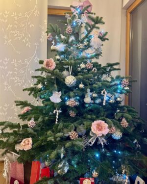 Chiara Nella Kekrt Instagram - Vánoce 2023 🎄🌟
Radost, štěstí, vděk, rodina ♥️
Děkuju🙏❤️💫

#chtistmas #christmastime #christmaseve #christmasspirit #happiness #luck #family #grateful #thankyou