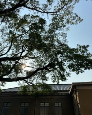 Ching-Tien Li Instagram - 前段時間小感不斷
實在是小看這波感冒季
外出提醒 還是要戴上口罩的

放上妹妹幫我拍的可愛🥰

服裝 @girlsmonday 
手機殼、鏈 @casetify_taiwan 
鞋 @amaitw