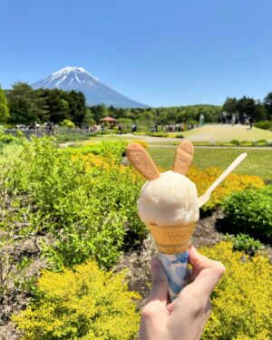 Ching-Tien Li Instagram - 日本芝櫻季

粉紅色的世界
太幸運了 
要看到完整的富士山🗻太不容易了
