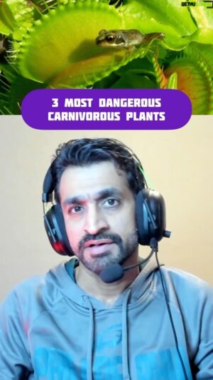 Chiragh Baloch Instagram - EP-13 | 3 Most Dangerous Carnivorous Plants #OneMinuteShow #ChiraghBaloch

English Subtile: @shahekdeedag