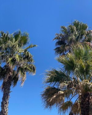 Chloe Arrowsmith Instagram - 🇵🇹🌴