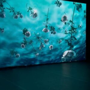 Chloé Leenheer Instagram - European premiere ‘Algorithm ocean true blood moves’ by the French-Caribbean artist Julien Creuzet. This work focuses on the muscle memory of movements and gestures passed down through generations of the African diaspora, now reconnected through social media. @hartwigartfoundation