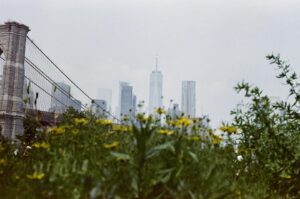 Chloe Van Landschoot Instagram - Analogued in NYC 📸. Thoroughly been enjoying the trials and surprises of learning the manual moments. Unfiltered. Unedited. Shot on Canon AE-1 with lomochrome metro film 🎞️ teacher human @charlie_benoit snapped the first one here