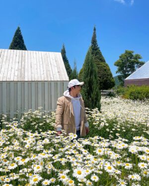 Choi Hyeon-woo Instagram - ماهو اسم هذا الورد؟🌼