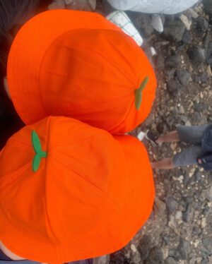 Choi Ji-su Instagram - 🍊🍊🍊🍊