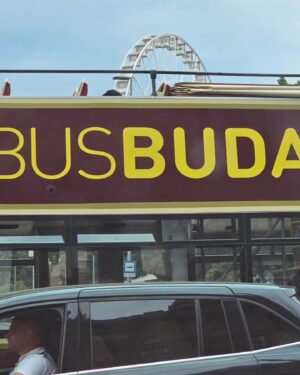 Choi Su-rin Instagram - #buda 앙사나는 구관과 신관으로 나뉘고 수많은 객실이 있어
구관에서는 지하통로로 신관의 스파를 가운차림으로 갈수있고
치과도 있어서 임플란트를 하러오는 어르신들도 많고 스파와 다른 치료를 병행하러오는 사람들도 많아
마거릿아일랜드는 적당한 조깅코스로 아침저녁으로 뛰는사람도 많고 숲이좋고 지난 여름 이곳 공연장의 음악을 들으며 늦을밤을 보냈던 기억이 나네..