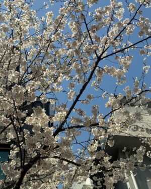 Choi Yeon-kyu Instagram - 날씨좋고