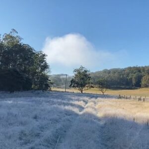 Chris Bath Instagram - Monday Frost Patrol
#birdnerdsrusfarm 9am & the frost game is strong & really quite beautiful #nofilter
