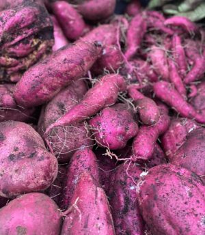 Chris Bath Instagram - Veni. Vidi. Sweet Potato-i.
Even Steve’s impressed. 
The thing is, this is an accidental crop, and for a second year, it has made an encounter with a brown snake while scavenging the plants from @johgriggs7 compost bin worthwhile.  Got a great crop last year & how’s this for low maintenance - they self grew this year, appearing without any effort from me under my watermelon.  Unlike broccoli there was no conquering required, which makes my headline kind of redundant really. #birdnerdsrusfarm 👊🏻🎉
#swipeleft #nofilter