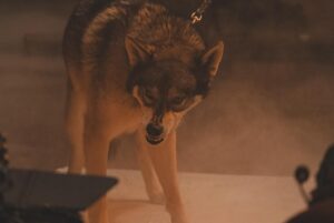 Chris Daughtry Instagram - Chris & Mando behind-the-scenes on the video shoot for 'Pieces' 👽🐺

Check out the Official Music Video at YouTube.com/daughtry (link in bio)

#daughtry #chrisdaughtry #wolf #newsingle #musicvideo #behindthescenes