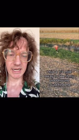 Chris Fleming Instagram - bloodhound games