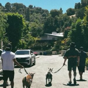 Chris Galya Instagram - summer stuff