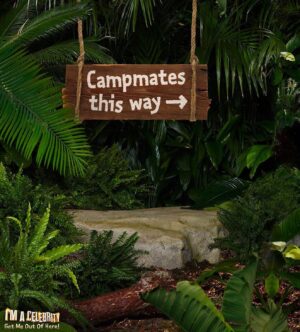 Chris Moyles Instagram - 👀🕷️🐍 He’s going into the jungle!

@imacelebrity starts this Sunday at 9pm on ITV 🤩

#imaceleb