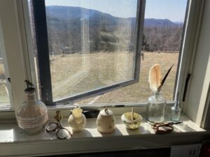 Chris Noth Instagram - Objects in a kitchen window-
