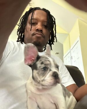 Chris Powell Instagram - Really proud of this litter we produced @funnyfarmsfrenchies really dope colors and just overall great pups. We still have 2 boys left and I’m even letting them go for a great price (they’re cute but they gots to go) hit me in my DM or on @funnyfarmsfrenchies  and let’s put it together.
