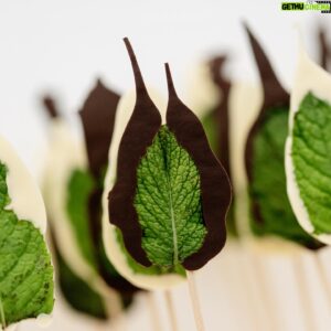 Christian Escribà Instagram - Taula dolça per event corporatiu al @macba_barcelona amb petit fours, rebosteria i maduixes amb xocolata! 🍓🍫🧁🎂

Mesa dulce para evento corporativo en el @macba_barcelona con petit fours, repostería y fresas con chocolate! 🍓🍫🧁🎂

@larocavillage #macba #barcelona @polescriba @laia1705 @ioiu133 #reposteria #dulce #museo #mesadulce #sweettable #tauladolça @patschmidtcakes #sweet #dulce #maduixes #strawberries