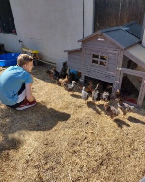 Christian Ganiere Instagram - My mom @vampwerezombie decided with our new house because we have over half an acre, she needed chickens. So she got a BUNCH of day old babies. Now they are 8 weeks old so we took them out to see the world for the first time. They are so silly.
.
.
#chickens #chickensofinstagram #crazychickenlady