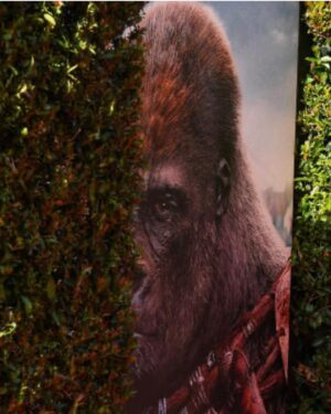 Christian Isaiah Instagram - Thank you @disney  @apesmovies  @williamhmacy for an epic night! 

HOLLYWOOD, CALIFORNIA - MAY 02: Christian Isaiah attends the World Premiere Of 20th Century Studios” “Kingdom Of The Planet Of The Apes” at TCL Chinese Theatre on May 02, 2024 in Hollywood, California. (Photo by Jon Kopaloff/GA/The Hollywood Reporter via Getty Images).