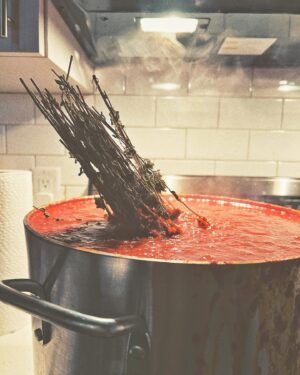 Christian Petroni Instagram - my favorite kind of red sauce is one that’s cooked for 8hours #food 

@petronifoods