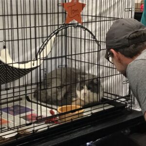 Christian Slater Instagram - My wife and I spent an incredible morning with @bestfriendsanimalsociety at the NKLA Super Adoption, open today and tomorrow at Warner Center Park in Woodland Hills. There are hundreds of puppies, dogs, cats and kittens that are hoping to find a home this weekend. Please stop by and meet them and all of the wonderful volunteers and organizations that commit their time and resources to saving the lives of innocent animals. Thank you @emmyrossum and @samesmail for introducing us to this amazing organization and for asking for donations to @bestfriendsanimalsociety instead of wedding gifts. We sponsored an hour of adoptions today in your honor! #SaveThemAll