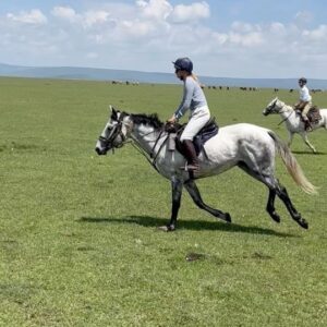 Christine Marzano Instagram - Trip of a lifetime. Riding across the #maasaimara on horseback with @offbeatridingsafaris Never felt more connected to nature and to, as The Lion King so aptly puts it, "The Circle of Life" also never had a better #digitaldetox