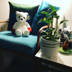 Christopher Larkin Instagram - Day 17: Spoonleaf Peperomia & Bear with Bloody Mitts (courtesy of @lukechueh). #plants #alltheplantsinmyapartment