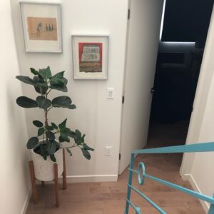 Christopher Larkin Instagram - Day 4: Ficus Audrey (with Nara prints). #alltheplantsinmyapartment