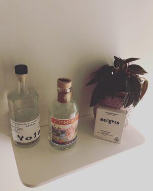 Christopher Larkin Instagram - Day 10: Peperomia Rosso with edibles & hooch. #plants #alltheplantsinmyapartment