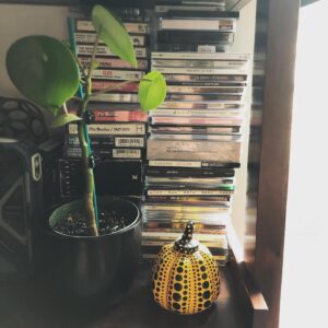 Christopher Larkin Instagram - Day 9: Heart Leaf Peperomia w/ Kusama pumpkin. #plants #alltheplantsinmyapartment